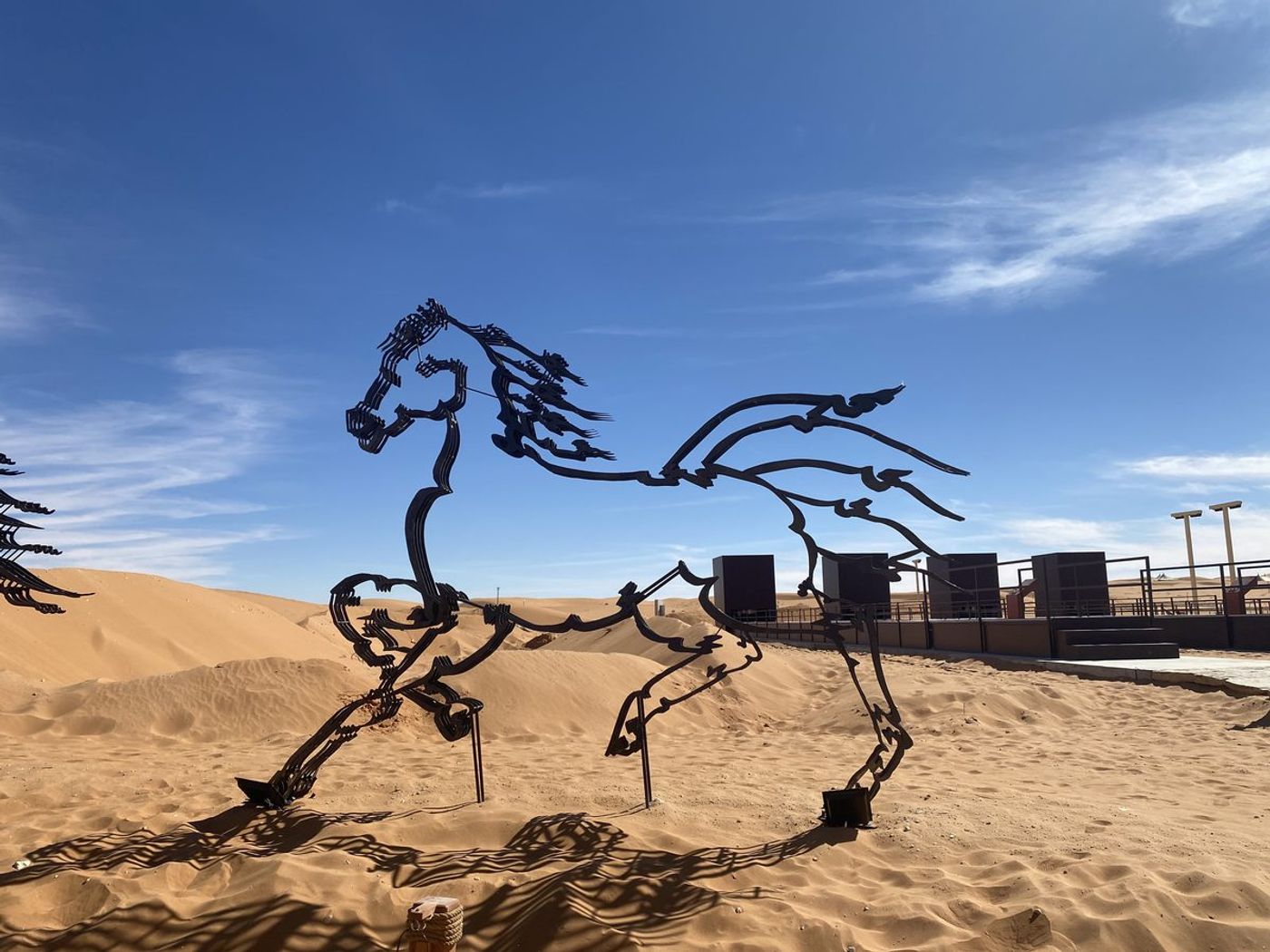 O Horse — Image 12