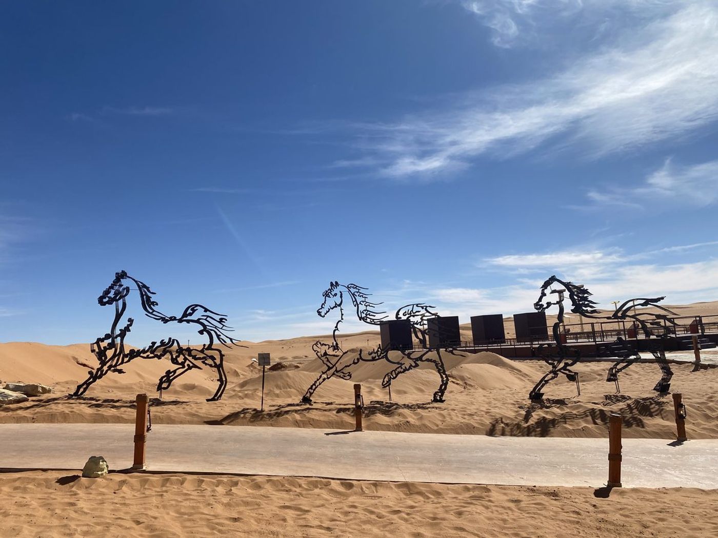 O Horse — Image 15