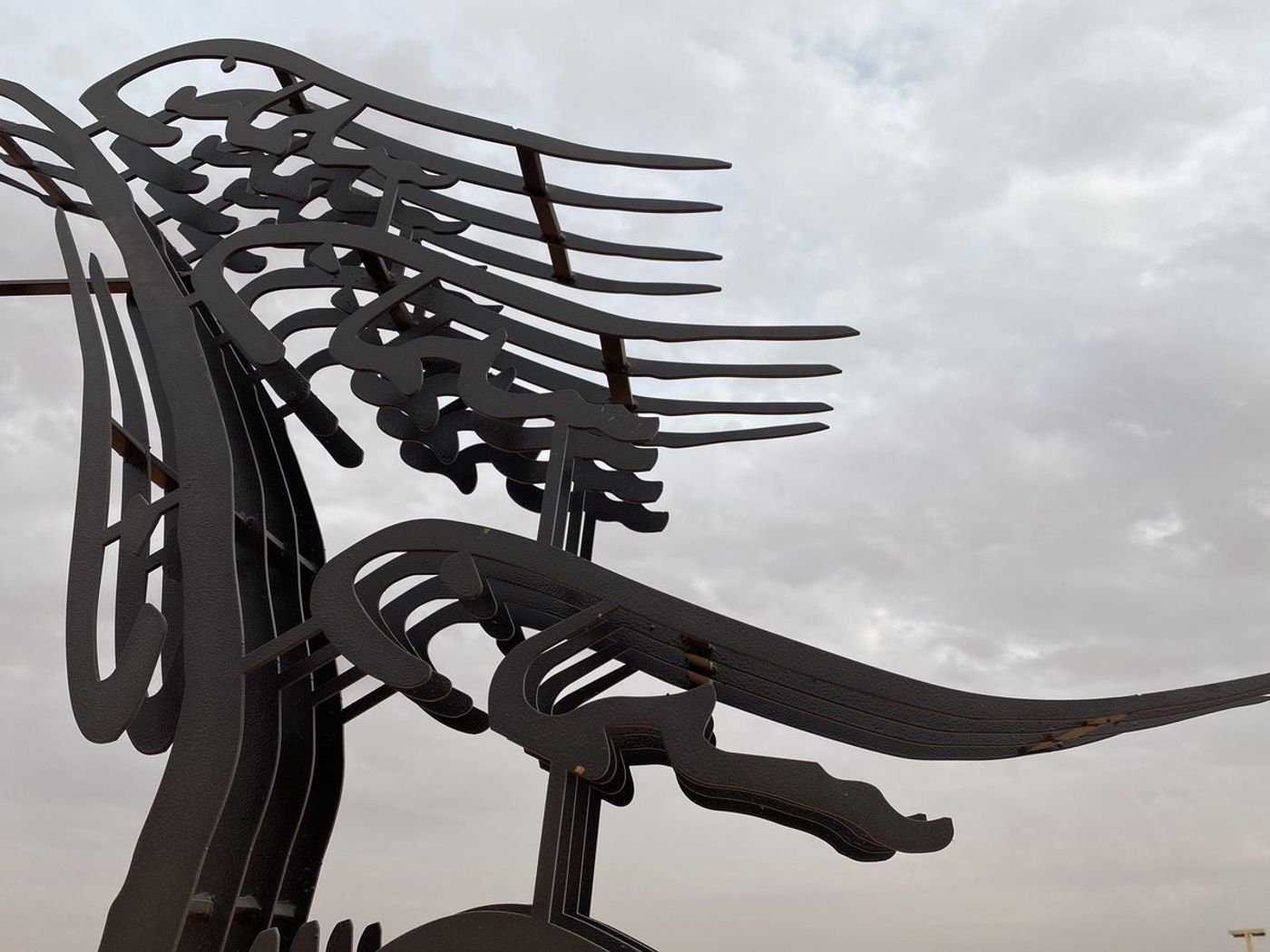 O Horse — Image 22