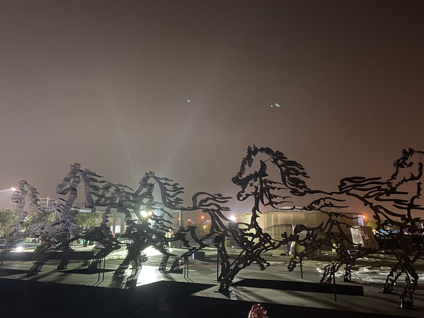 Saudi Cup — Image 17