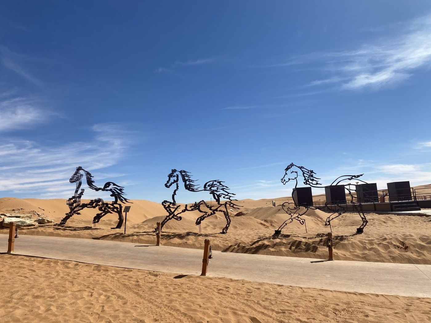 O Horse — Image 11