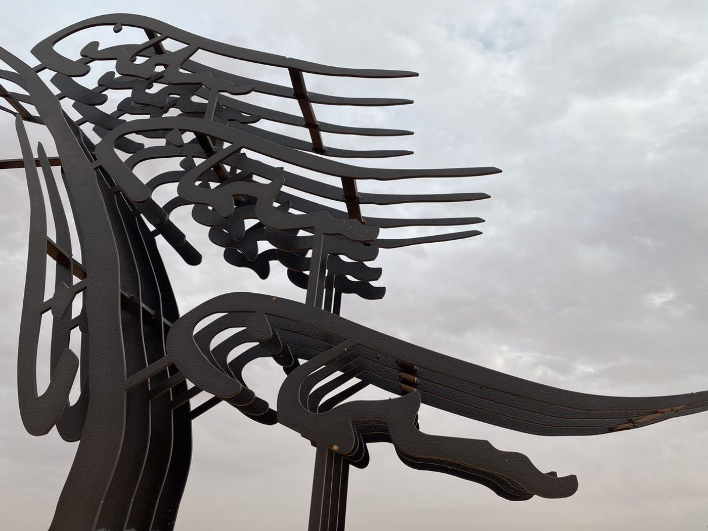 O Horse — Image 21