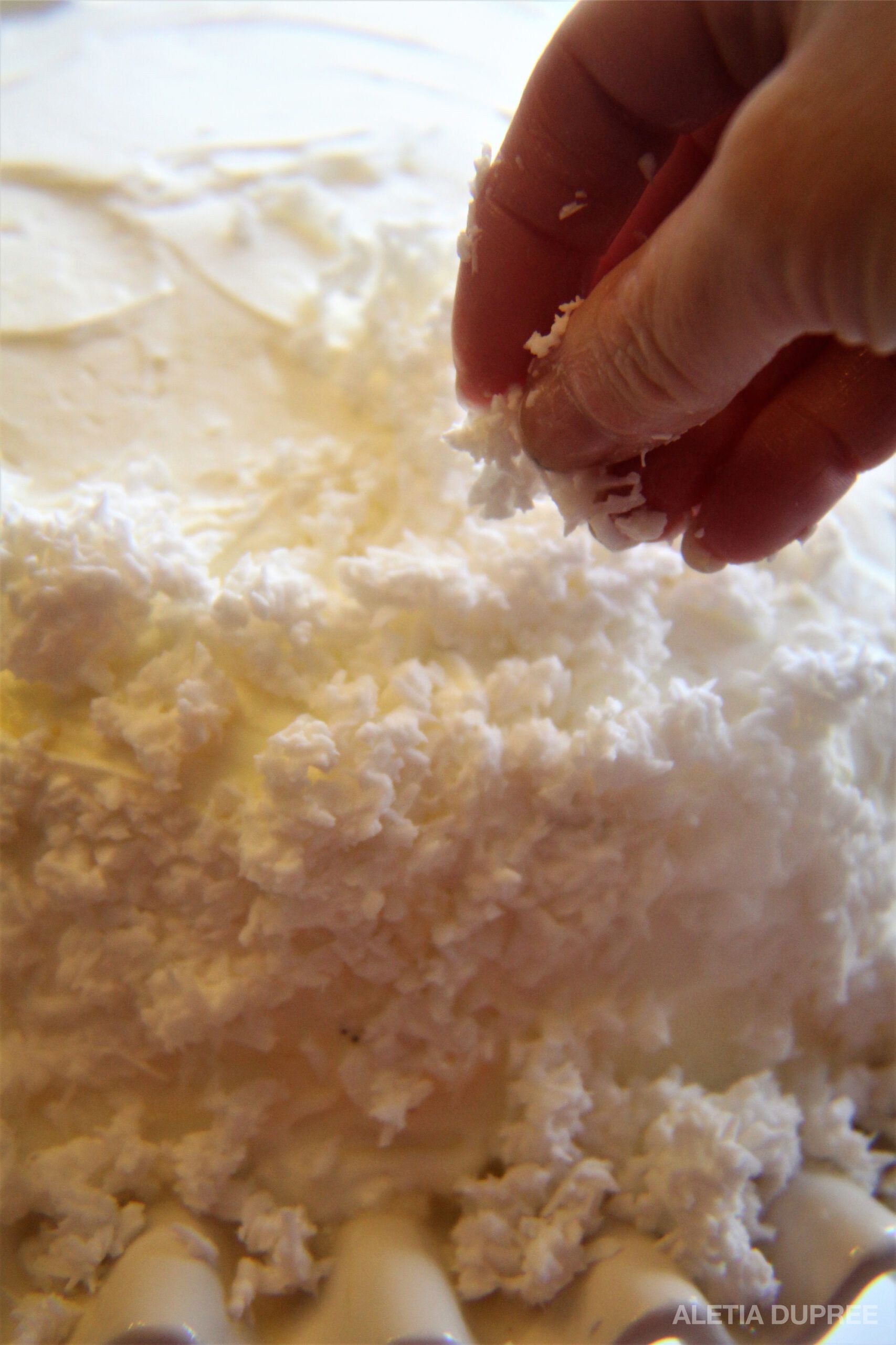 coconutprep-5