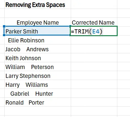 Data Cleaning in Excel