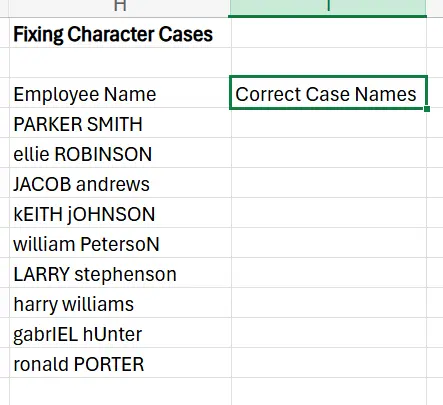 Data Cleaning in Excel