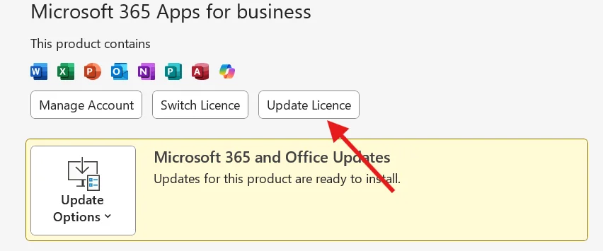Microsoft Copilot Excel Productivity