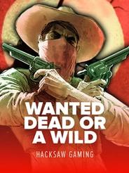 Wanted Dead Or A Wild
