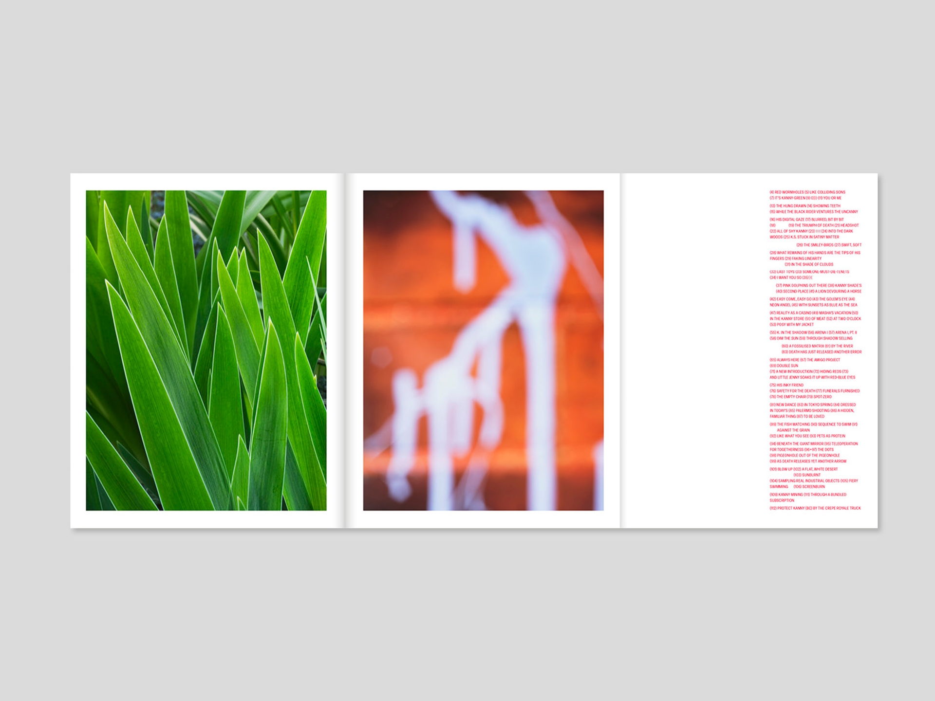 Yola Moschitz - Freischaffende Fotografin, Graz AUT