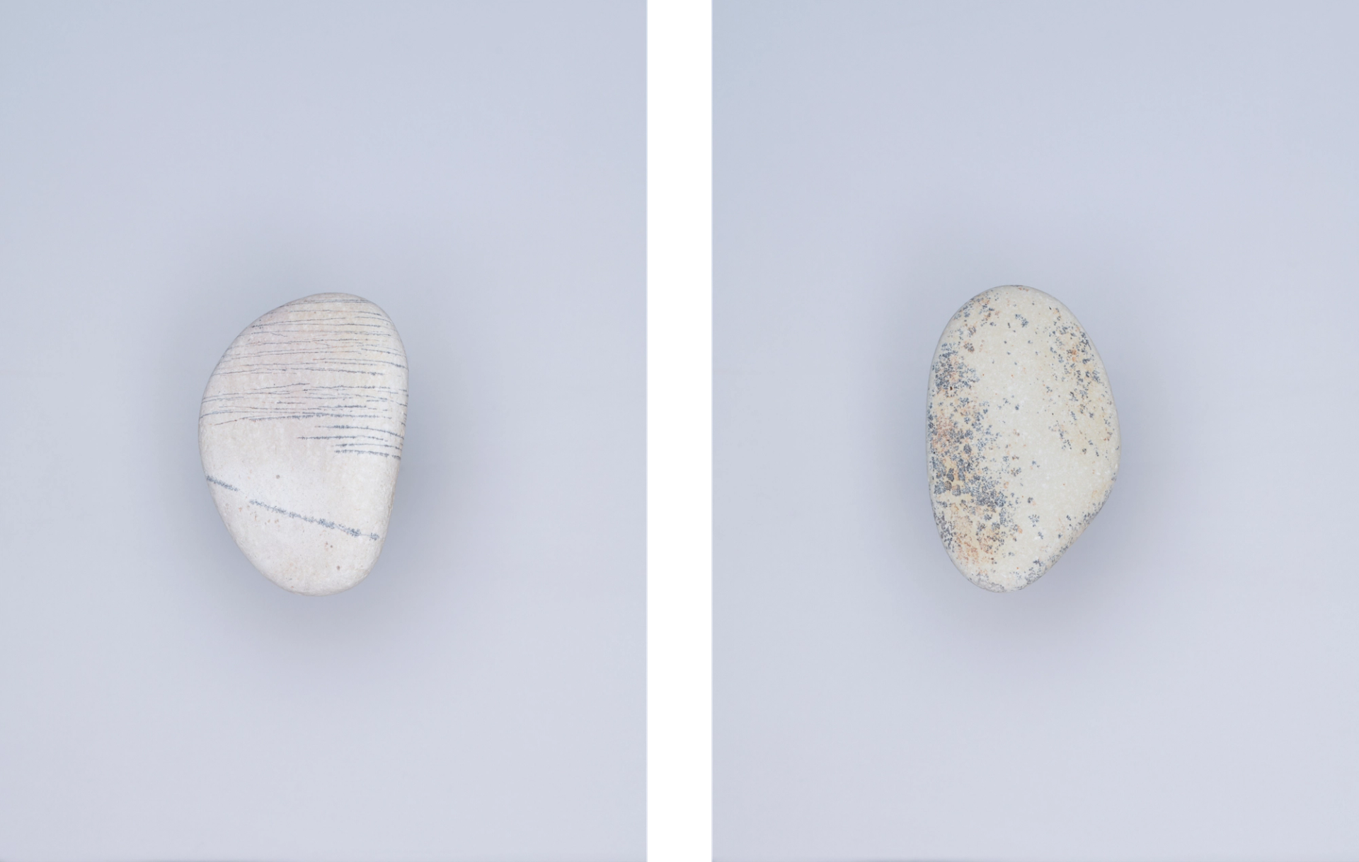 Yola Moschitz - Freischaffende Fotografin, Graz AUT