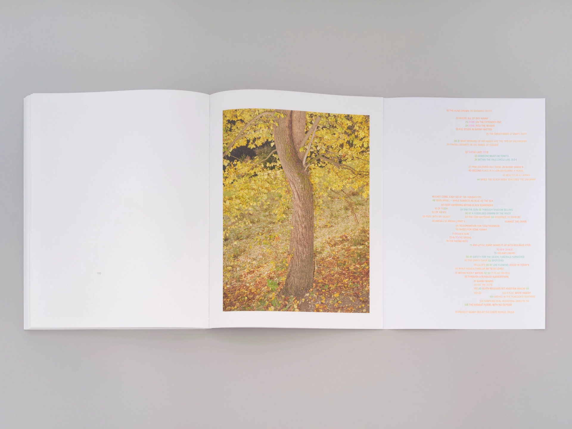 Yola Moschitz - Freischaffende Fotografin, Graz AUT