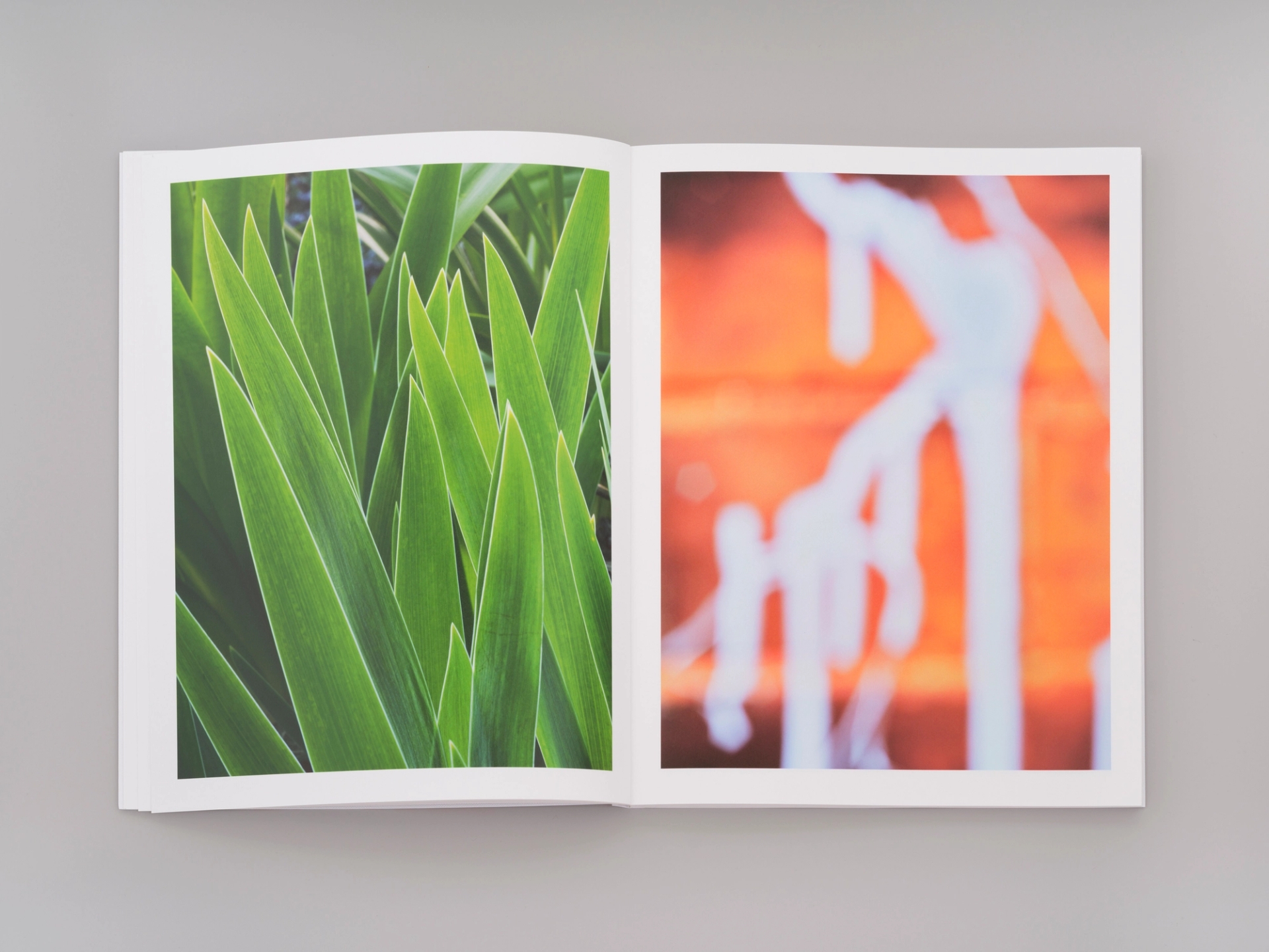 Yola Moschitz - Freischaffende Fotografin, Graz AUT