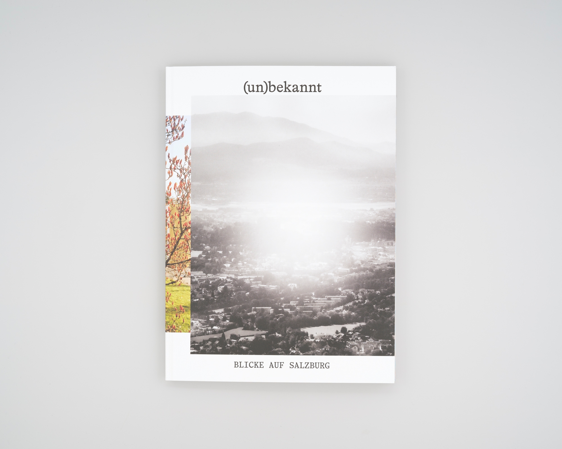 Yola Moschitz - Freischaffende Fotografin, Graz AUT