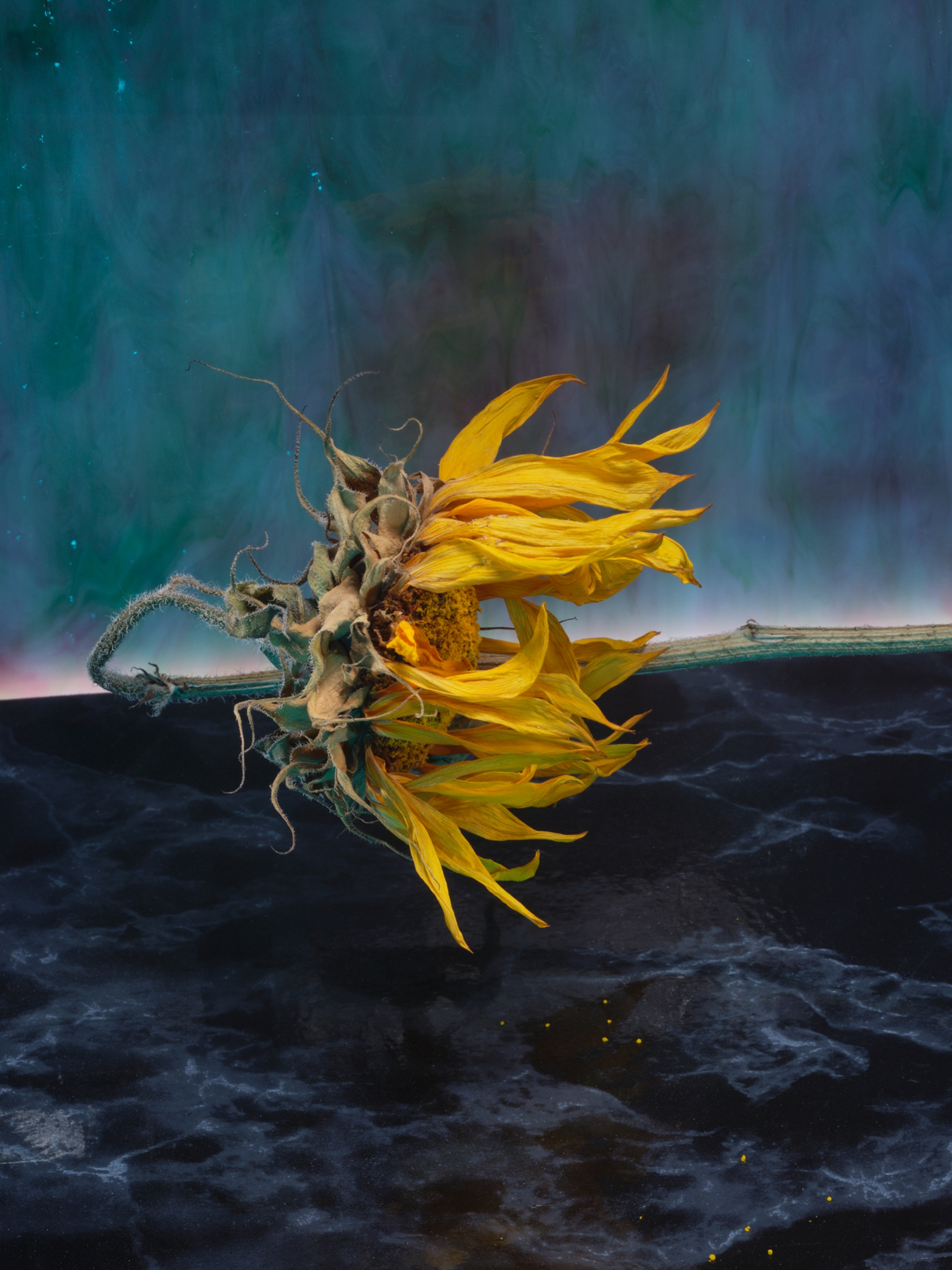 Yola Moschitz - Freischaffende Fotografin, Graz AUT