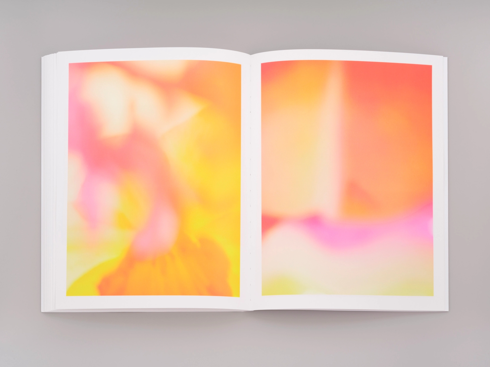 Yola Moschitz - Freischaffende Fotografin, Graz AUT