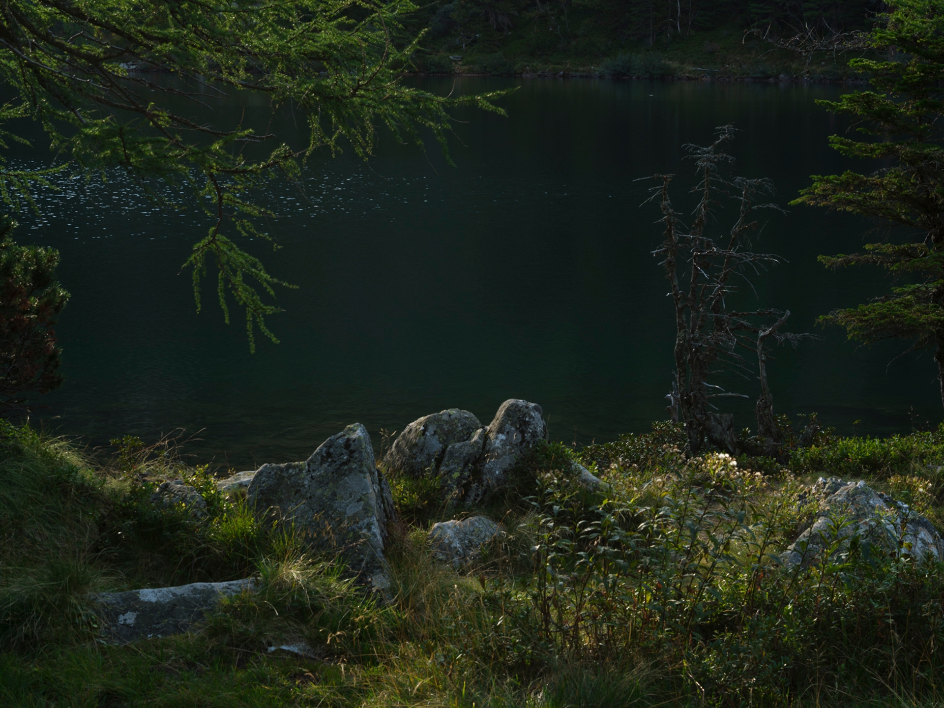 Yola Moschitz - Freischaffende Fotografin, Graz AUT