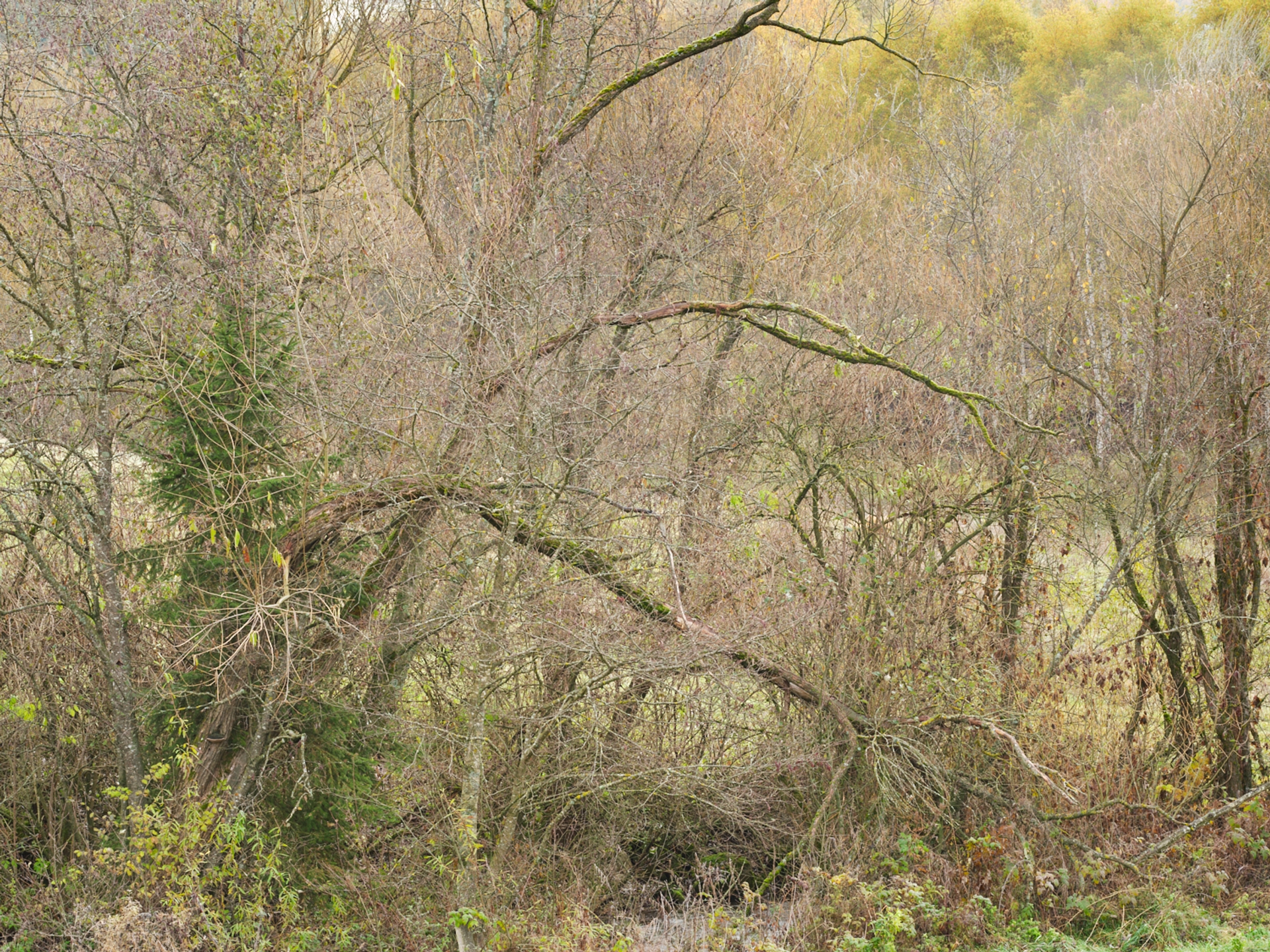 Yola Moschitz - Freischaffende Fotografin, Graz AUT