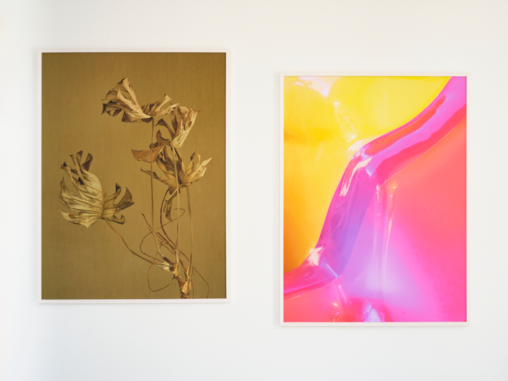 Yola Moschitz - Freischaffende Fotografin, Graz AUT