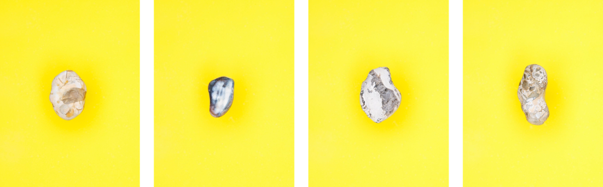 Yola Moschitz - Freischaffende Fotografin, Graz AUT