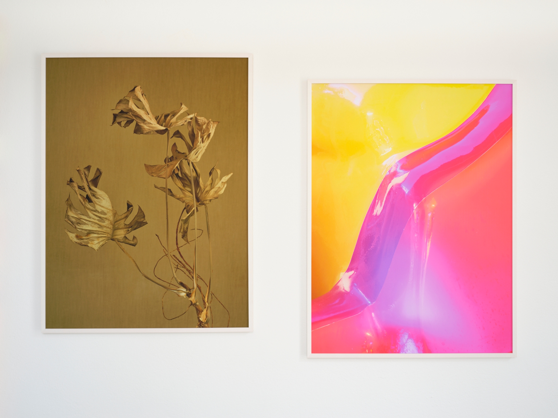 Yola Moschitz - Freischaffende Fotografin, Graz AUT