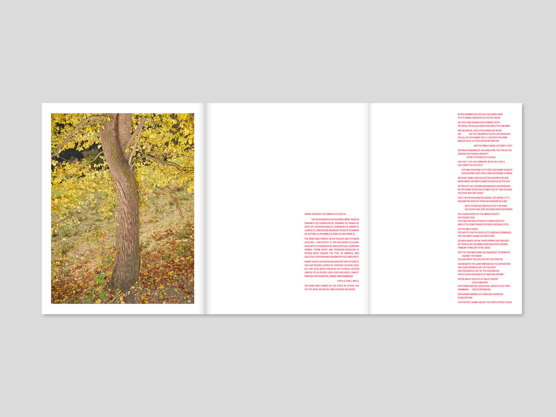 Yola Moschitz - Freischaffende Fotografin, Graz AUT