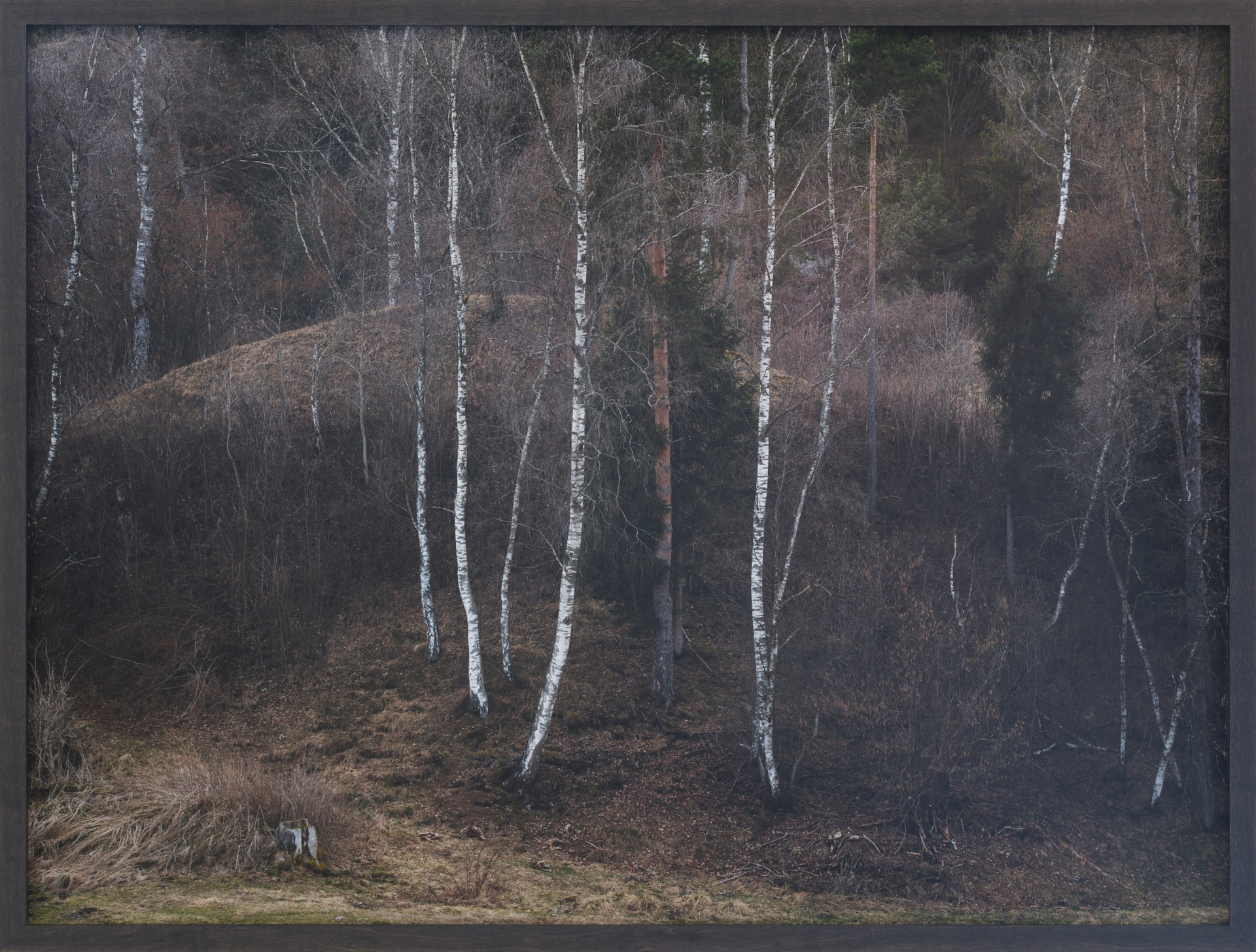 Yola Moschitz - Freischaffende Fotografin, Graz AUT