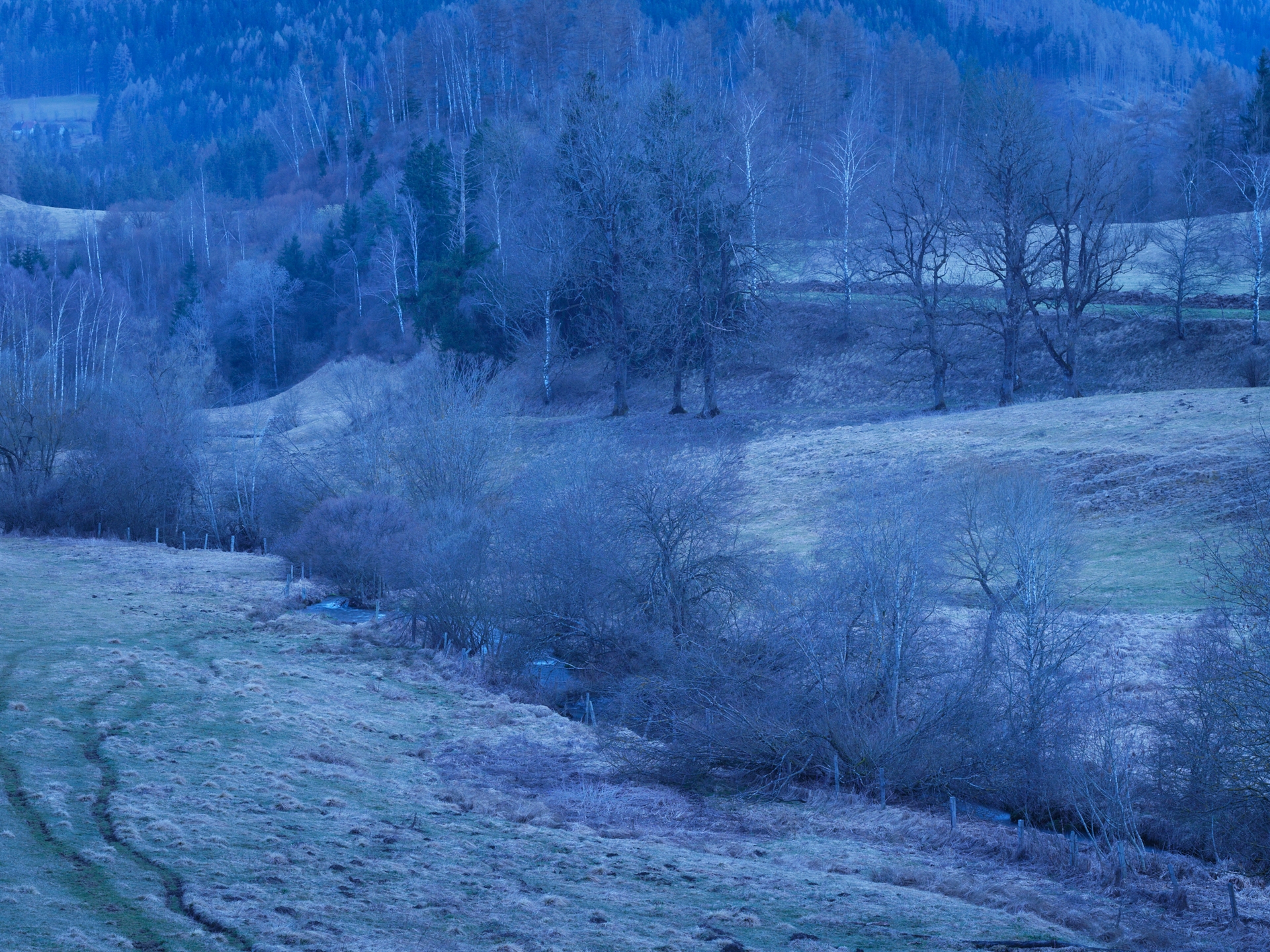 Yola Moschitz - Freischaffende Fotografin, Graz AUT