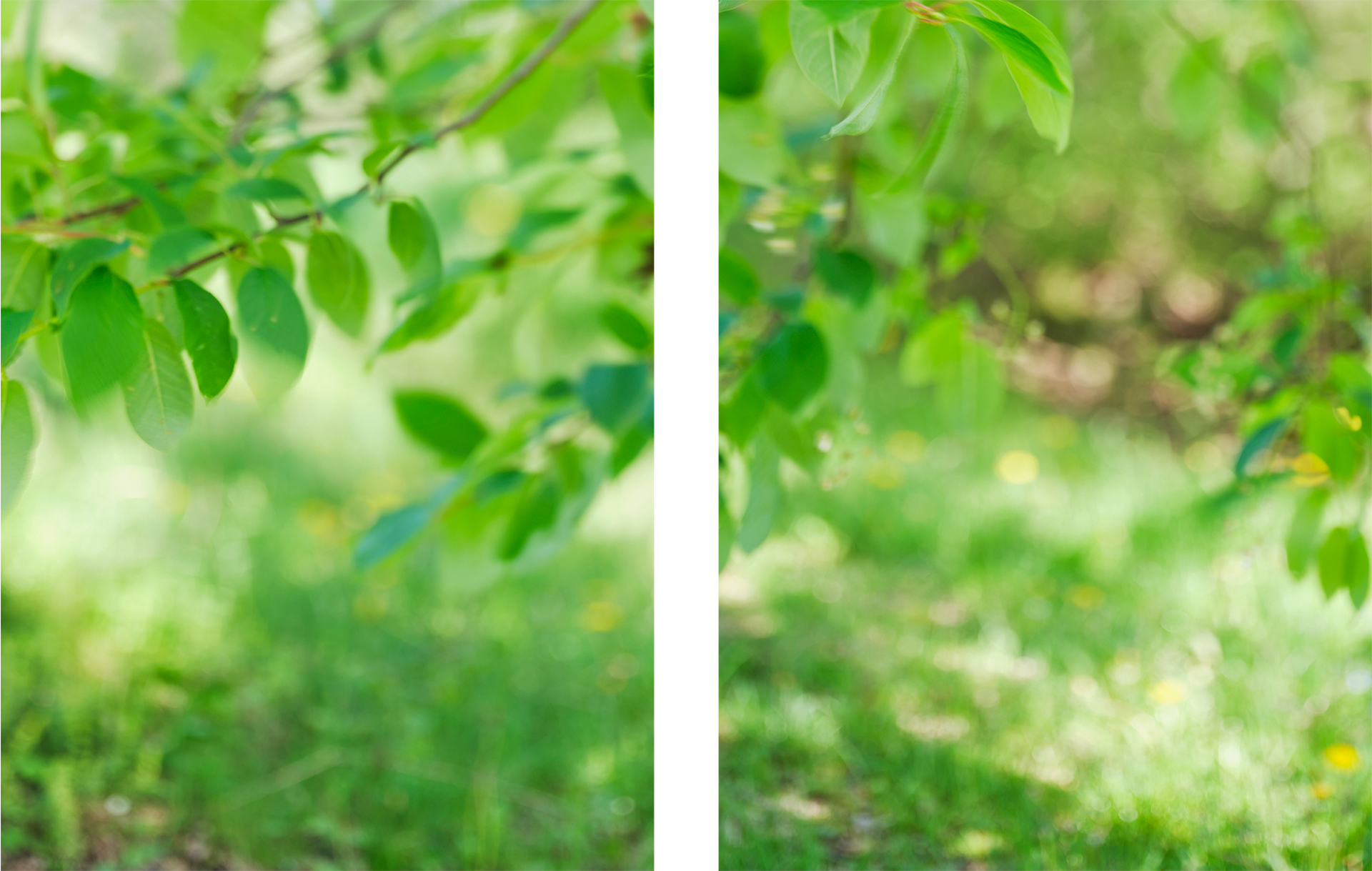 Yola Moschitz - Freischaffende Fotografin, Graz AUT