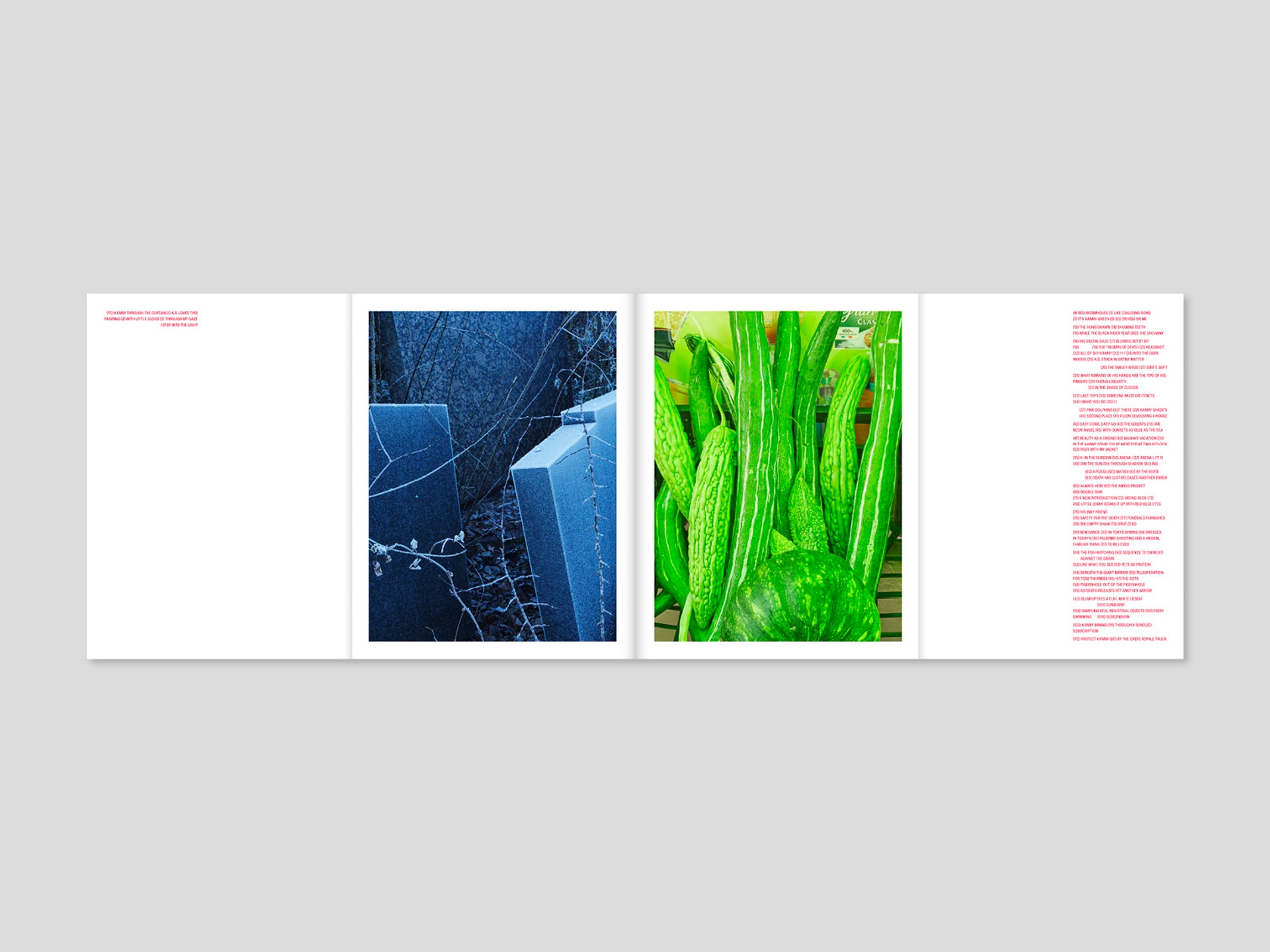 Yola Moschitz - Freischaffende Fotografin, Graz AUT