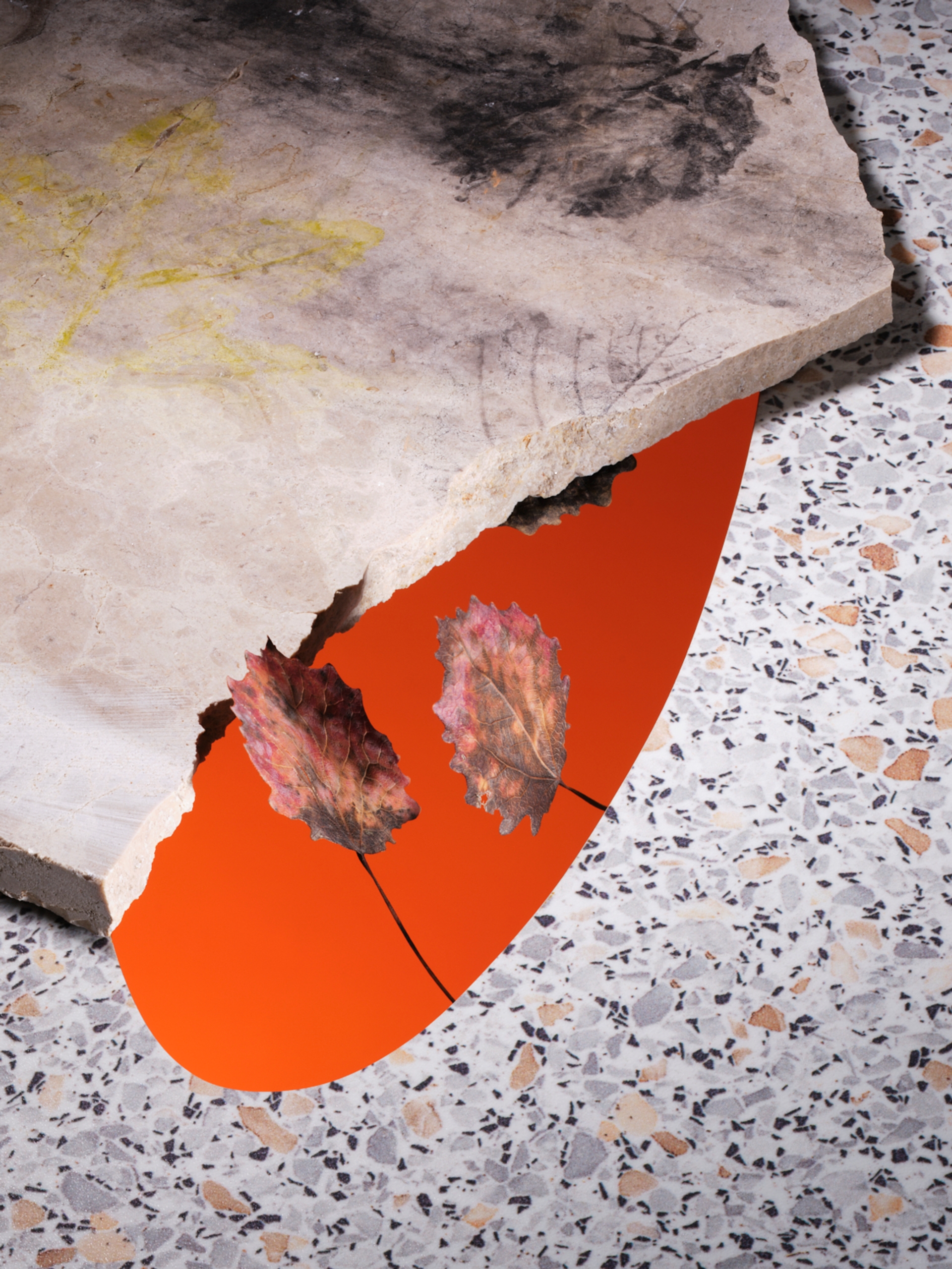 Yola Moschitz - Freischaffende Fotografin, Graz AUT