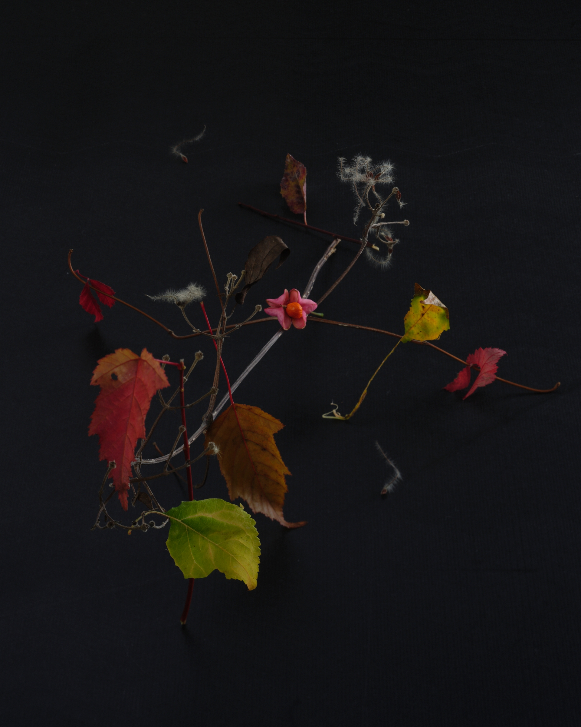 Yola Moschitz - Freischaffende Fotografin, Graz AUT