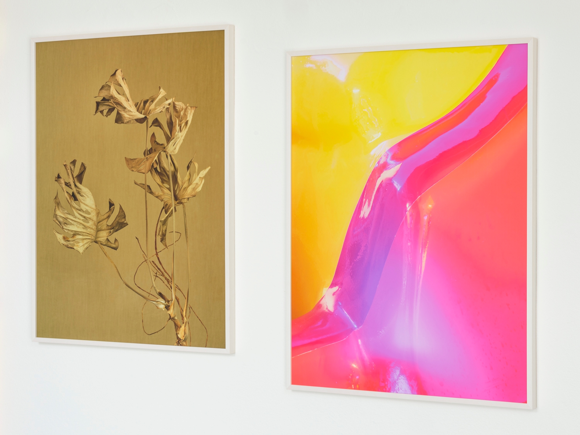 Yola Moschitz - Freischaffende Fotografin, Graz AUT