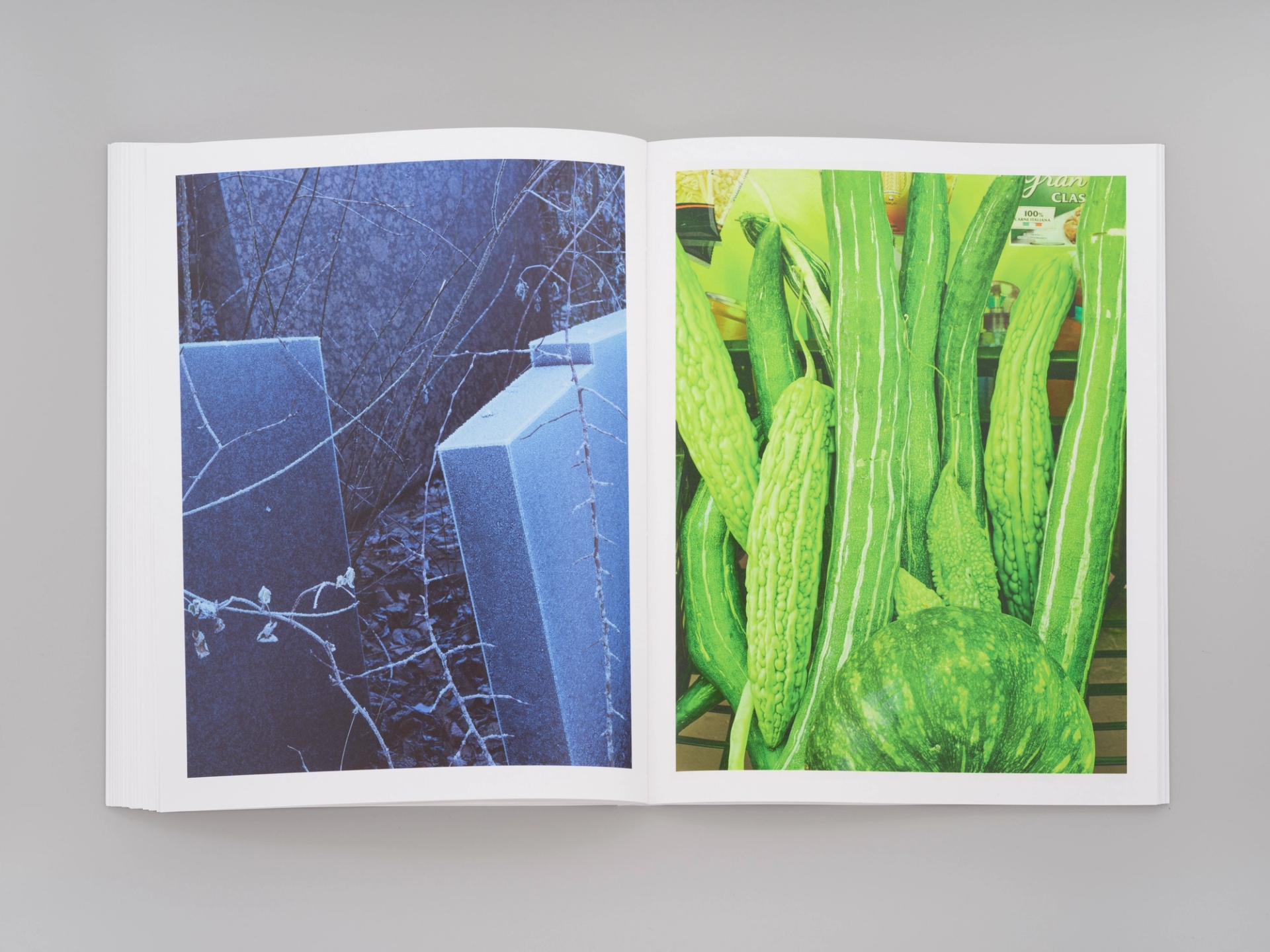 Yola Moschitz - Freischaffende Fotografin, Graz AUT