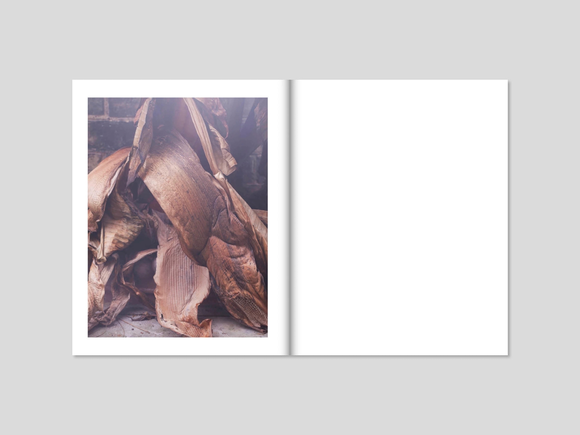 Yola Moschitz - Freischaffende Fotografin, Graz AUT