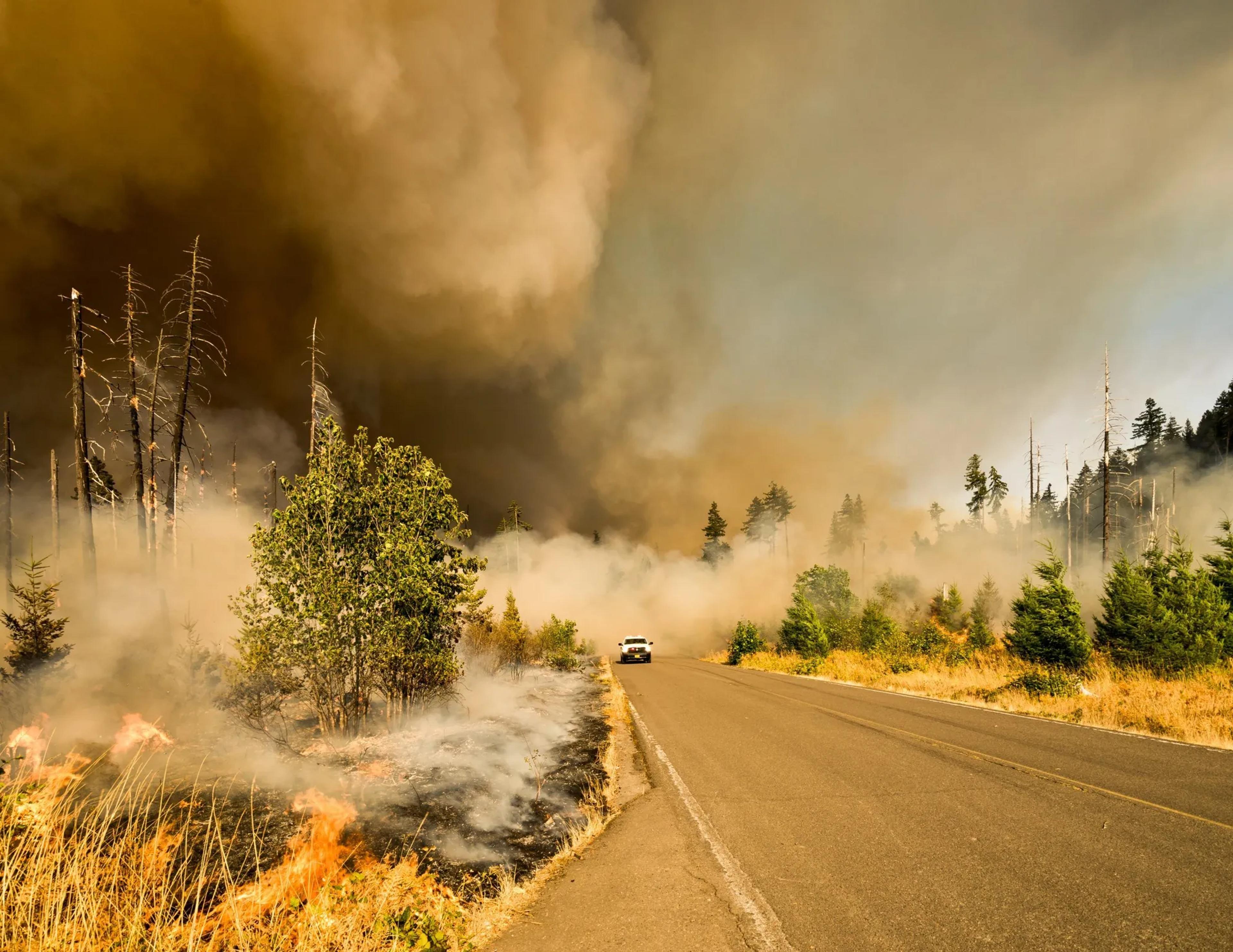 Addressing Wildfires