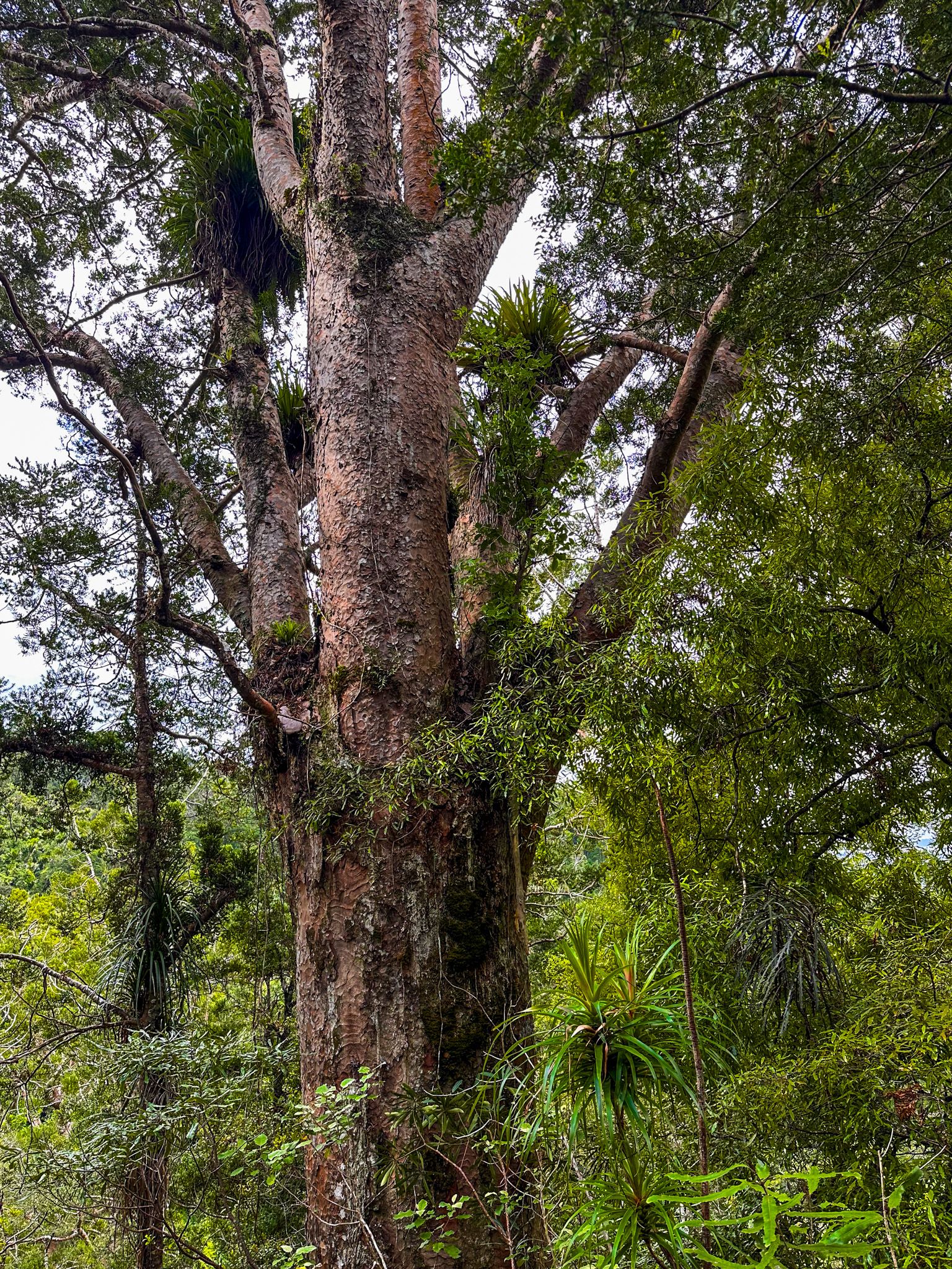 Image 8 of 10