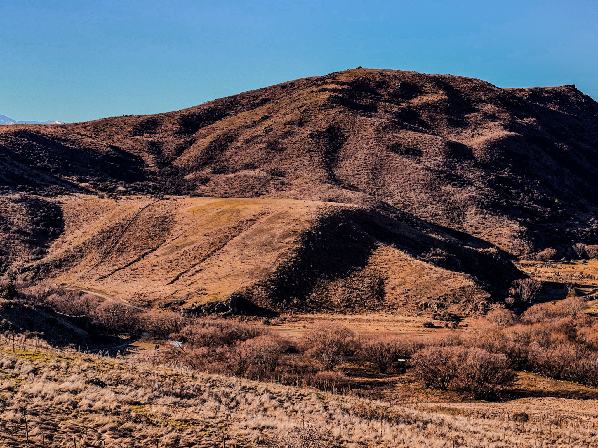 Image 9 of 10