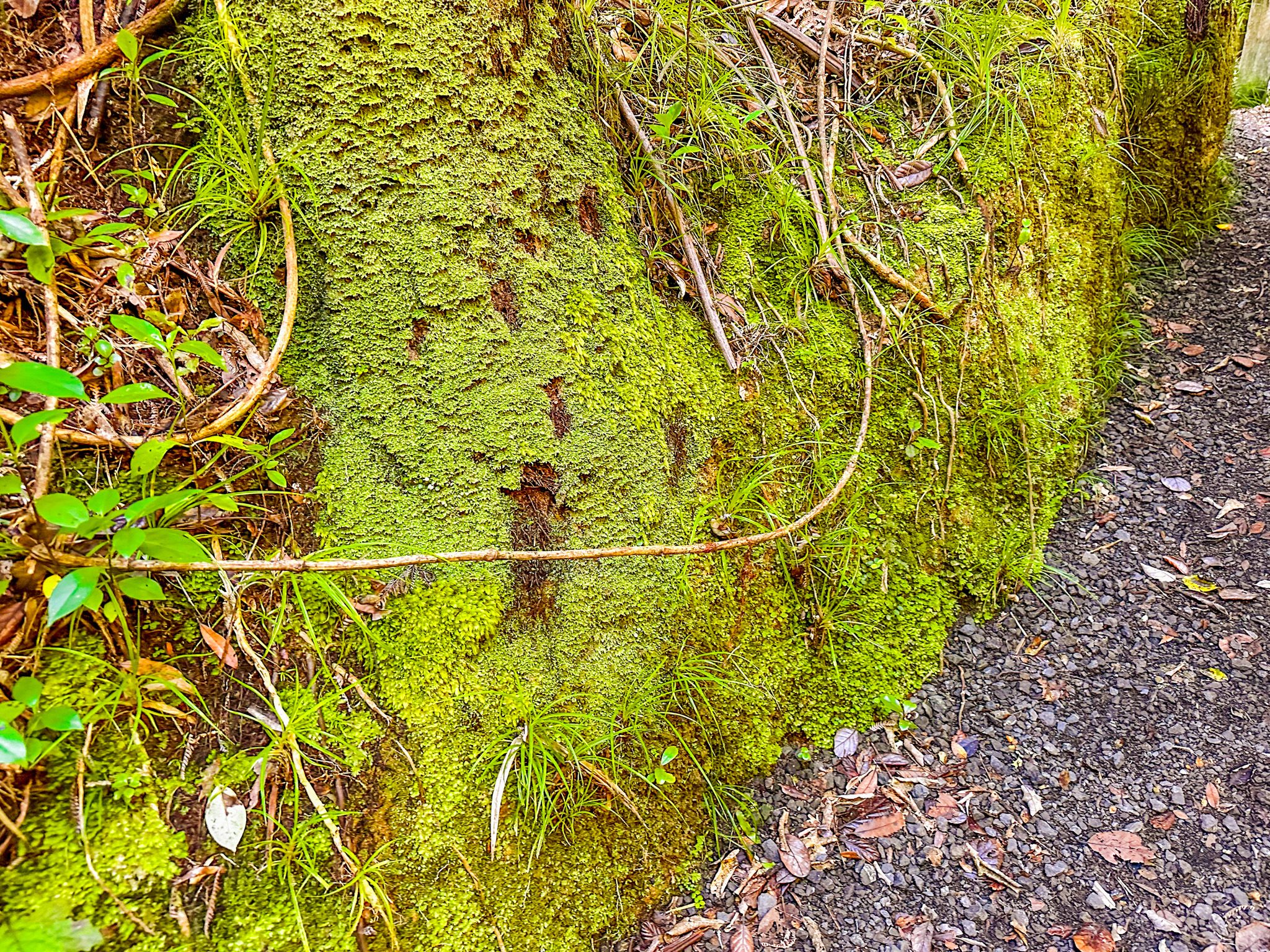 Image 5 of 10
