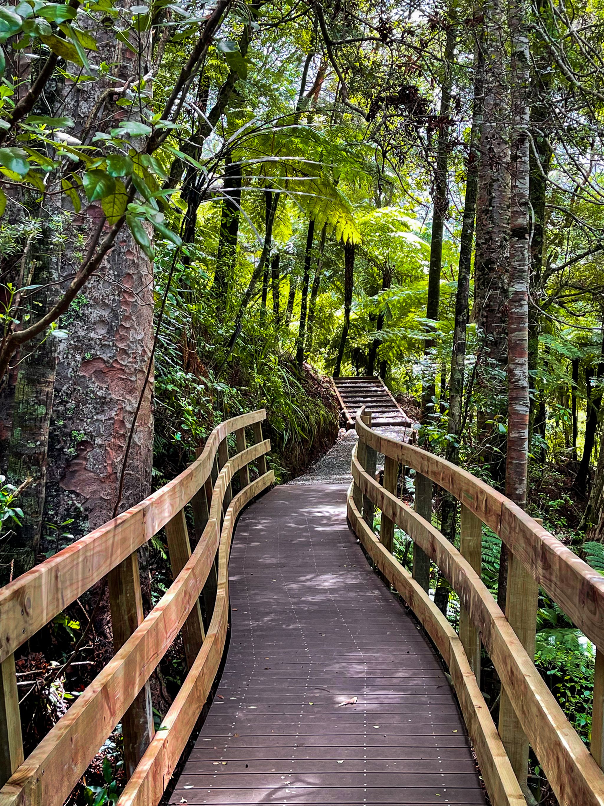 Karamatura Track | West Auckland - New Zealand Trip Ideas