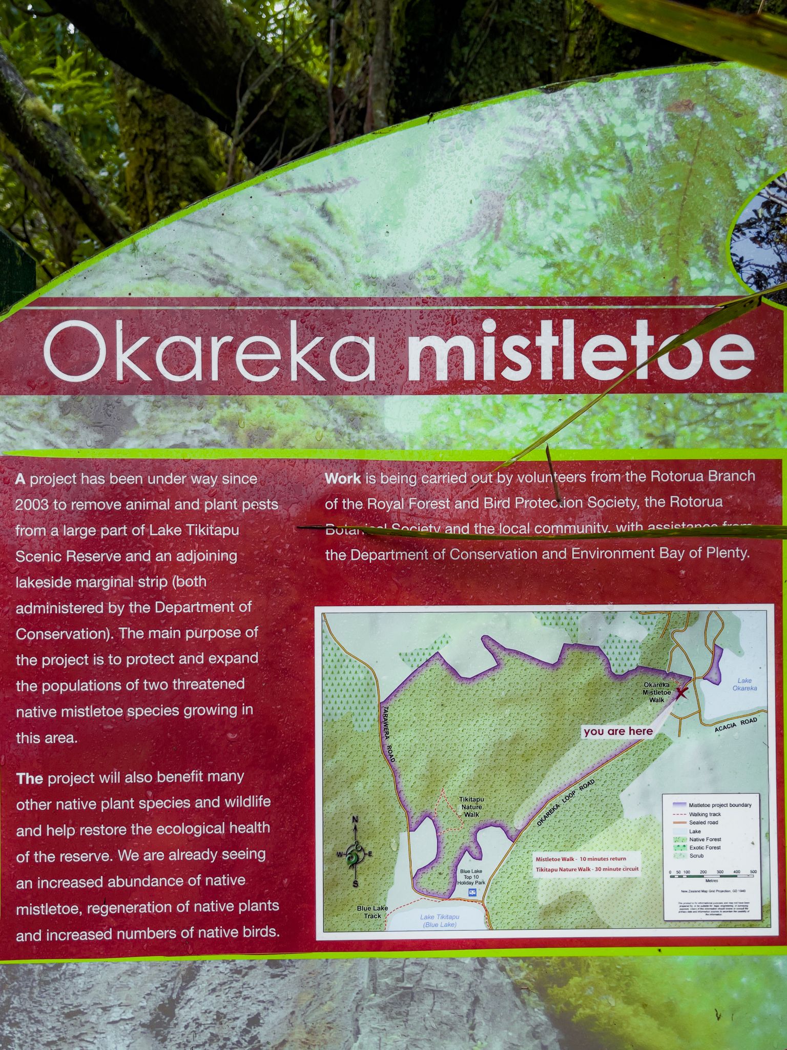 Image 1 of 9