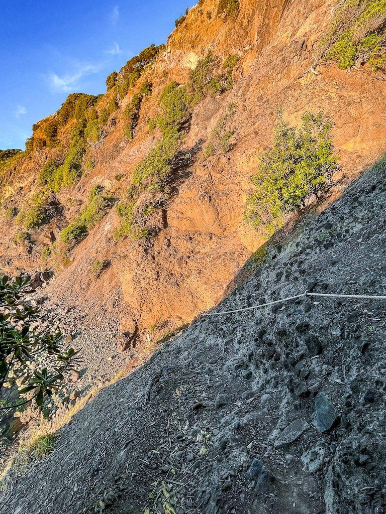 Image 6 of 8