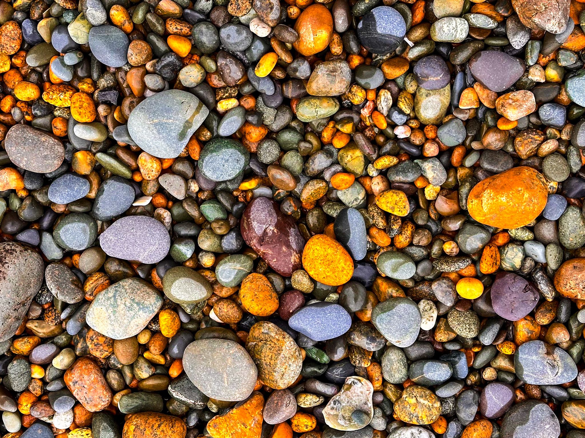 Image 9 of 10