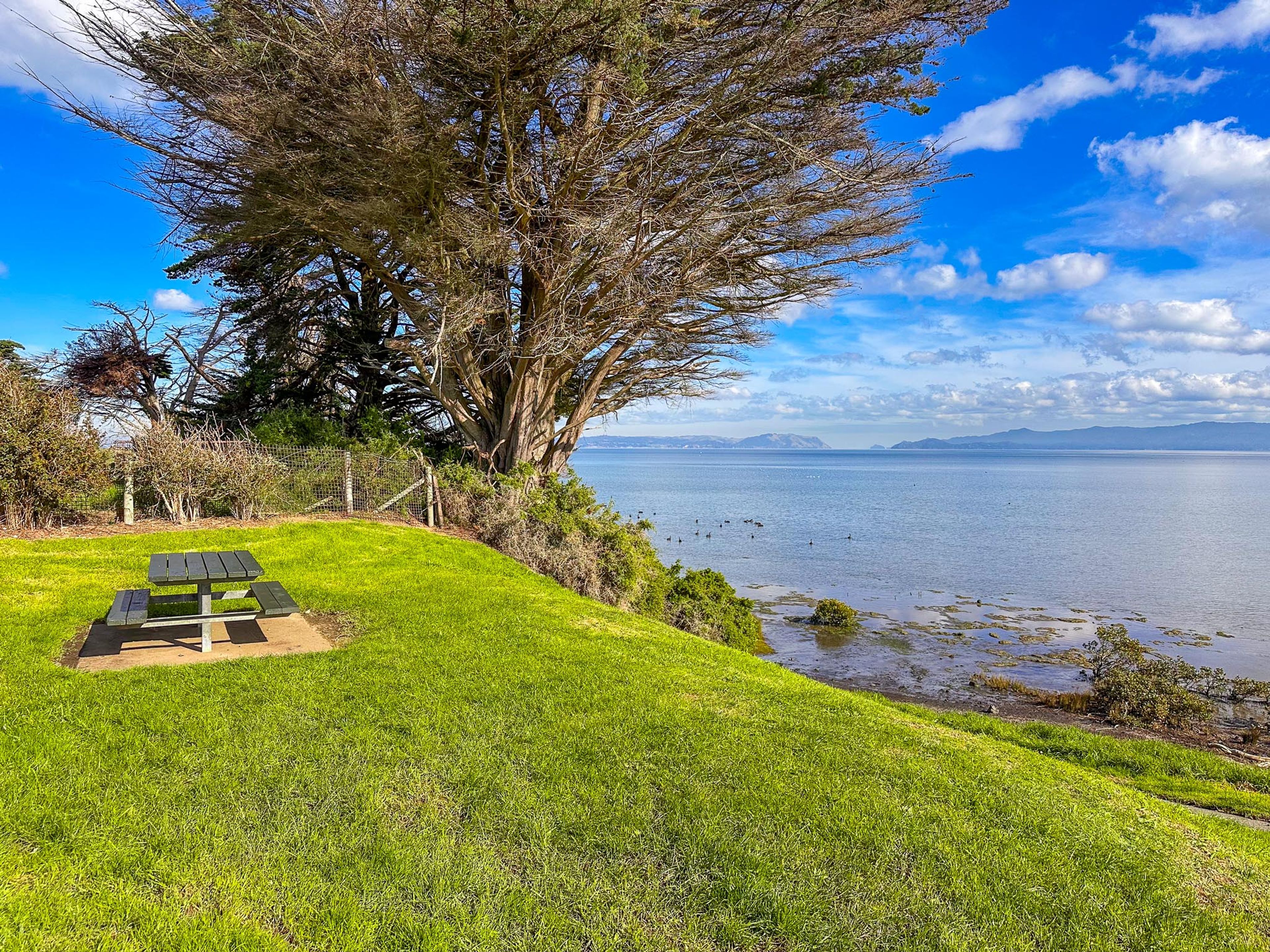 Image 9 of 10
