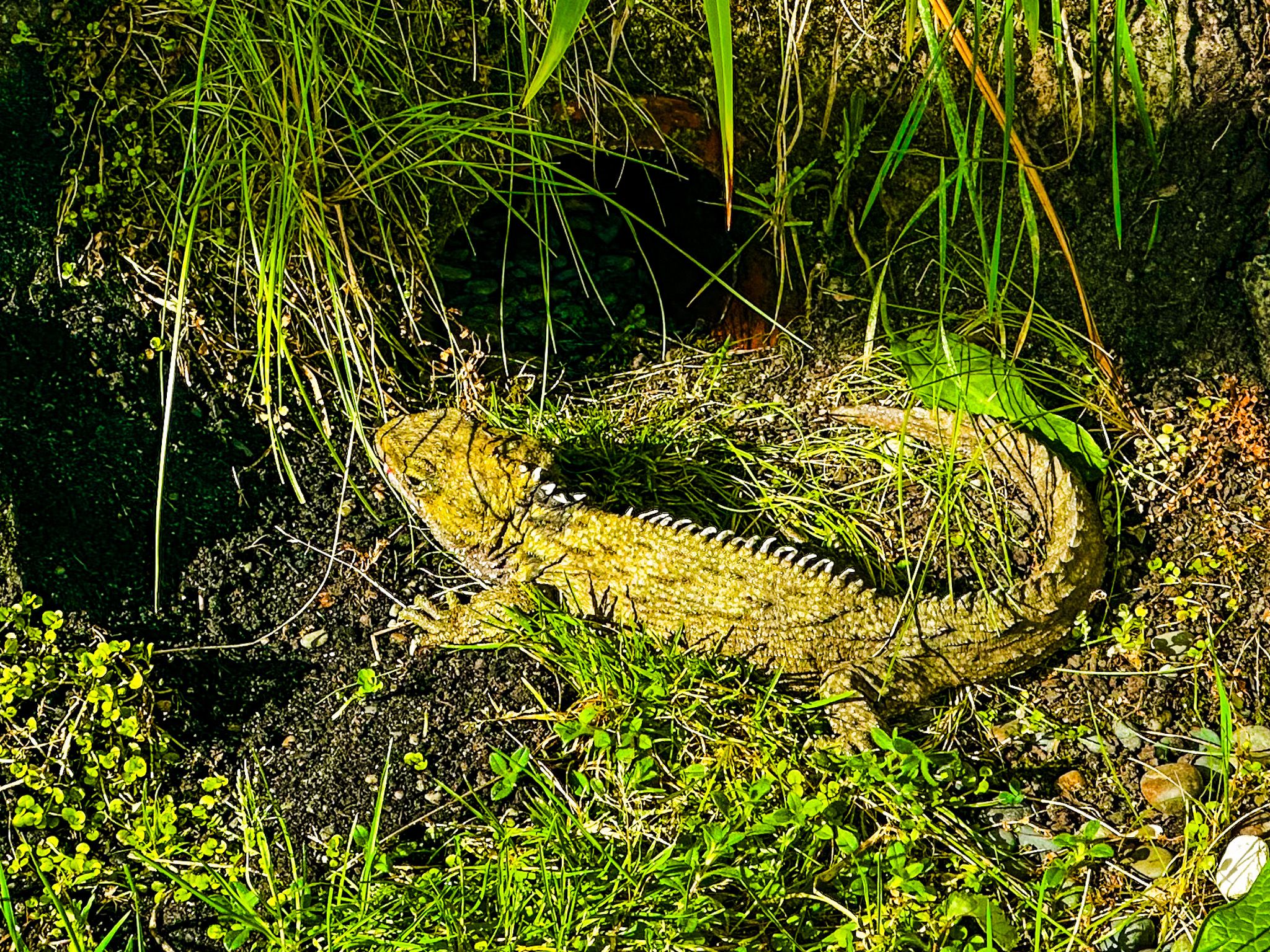 Image 9 of 10
