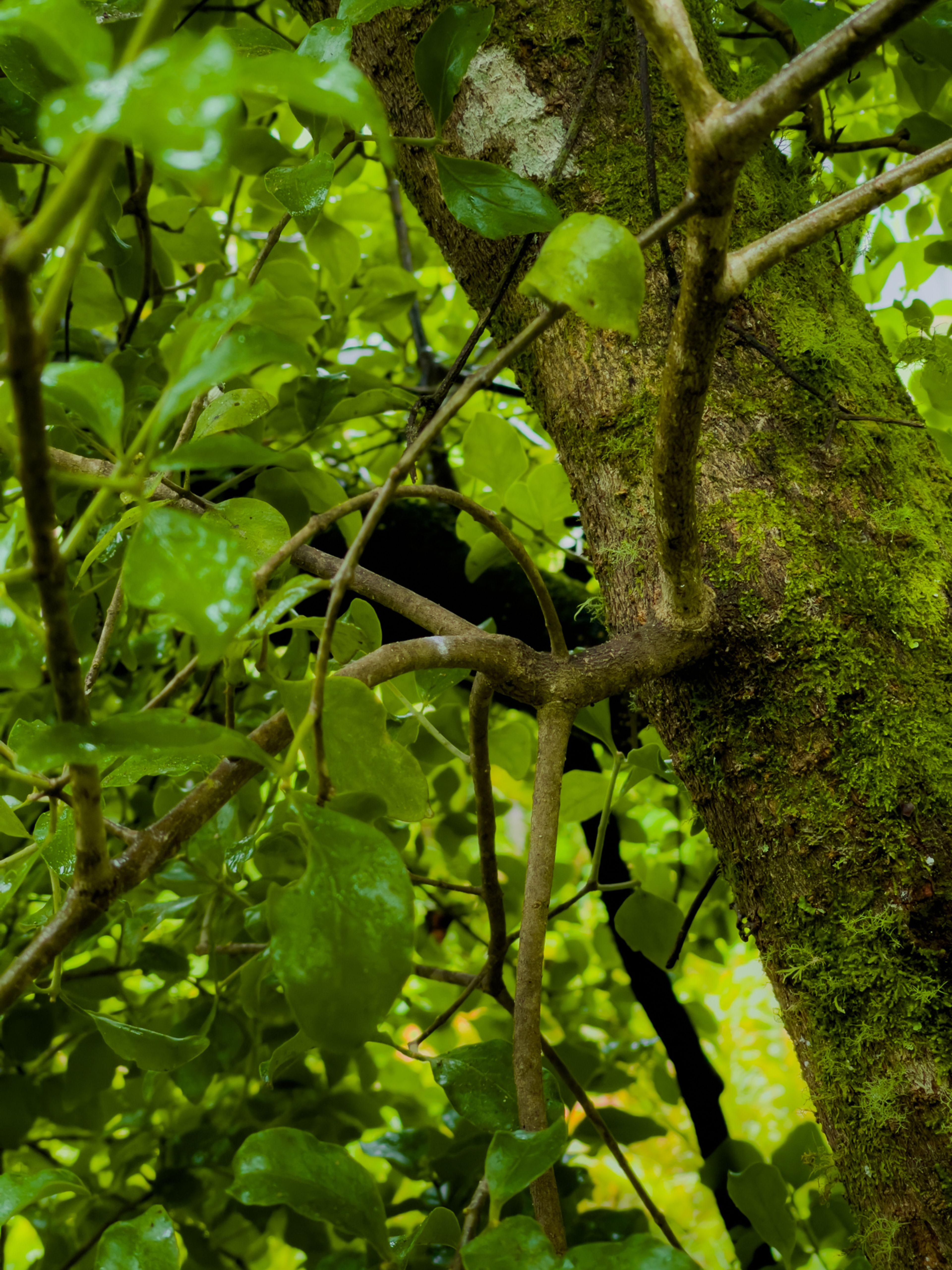 Image 8 of 9