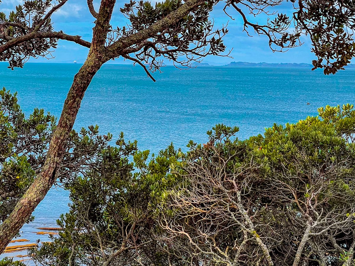 Image 6 of 10