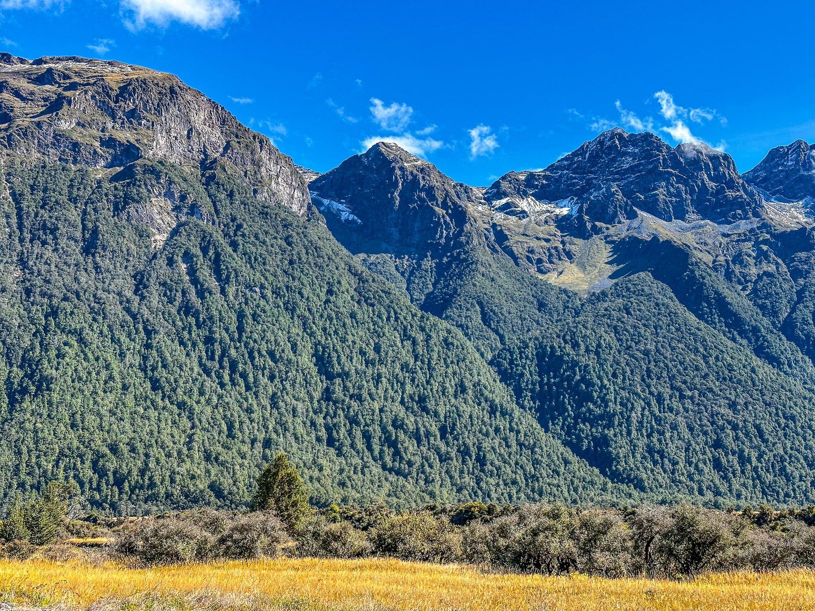 Image 6 of 9