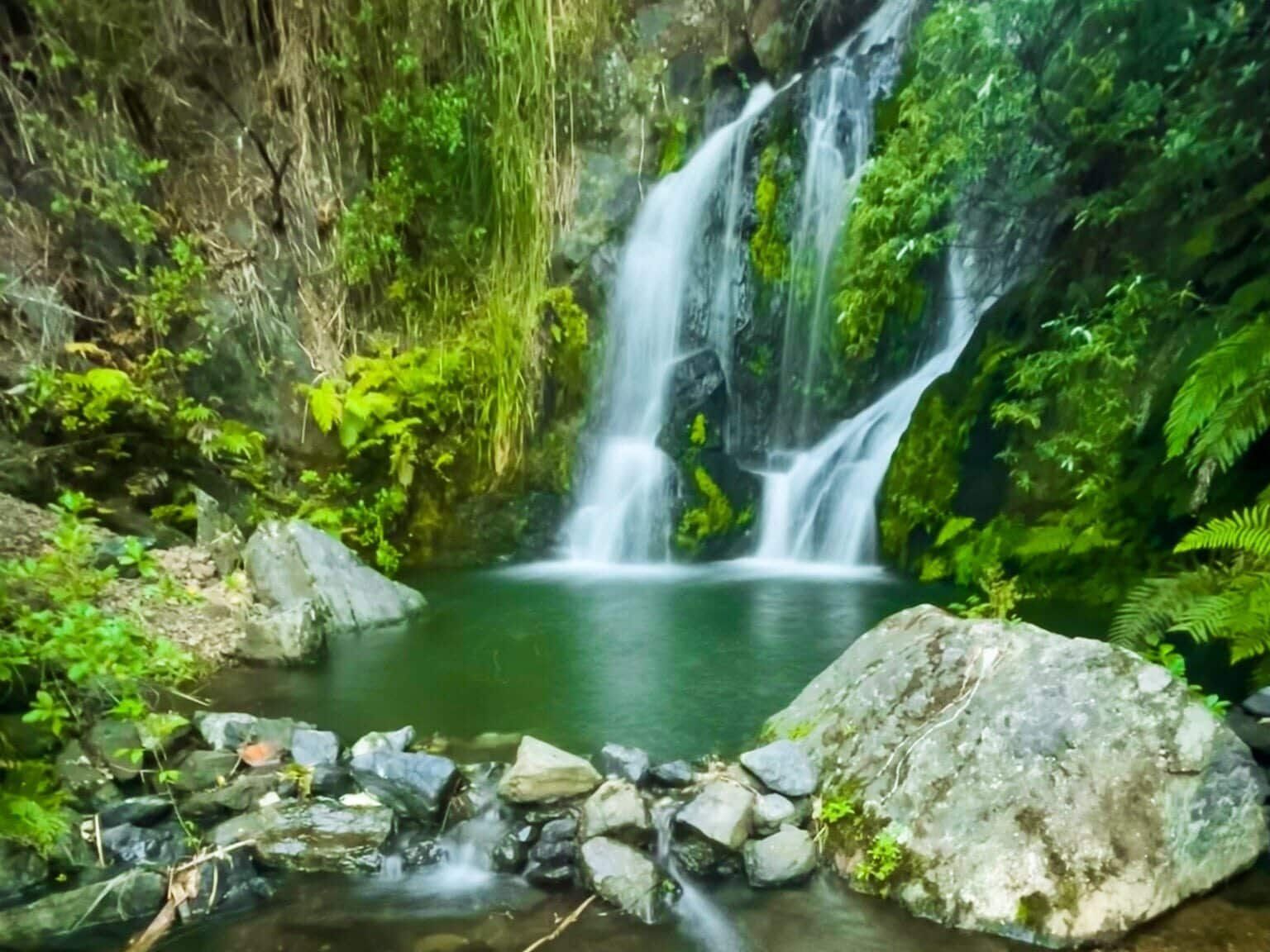 Wairoa Falls