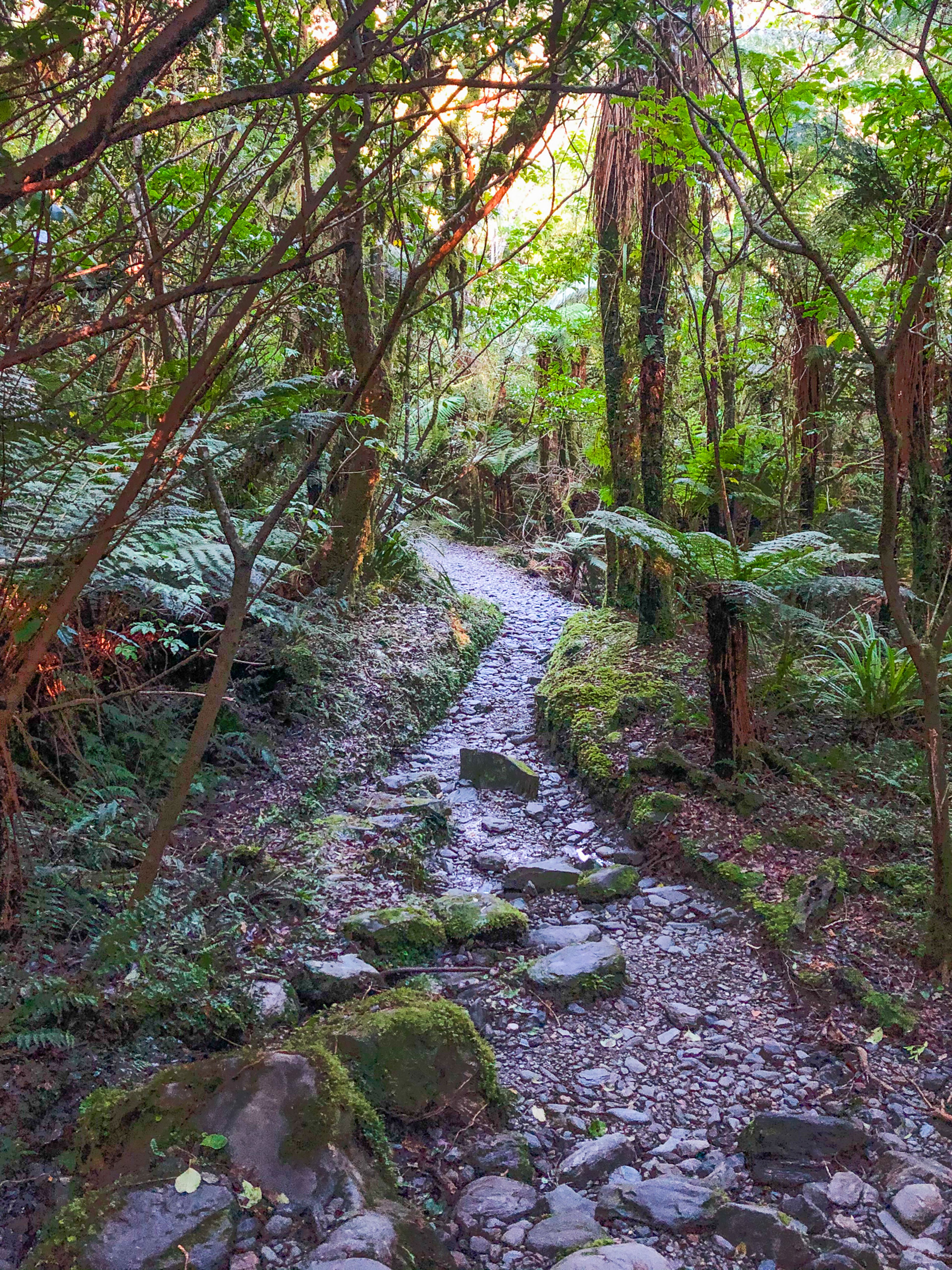Image 9 of 10