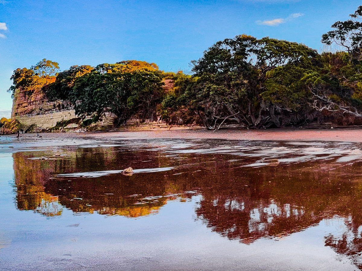 Long Bay Coastline Walk