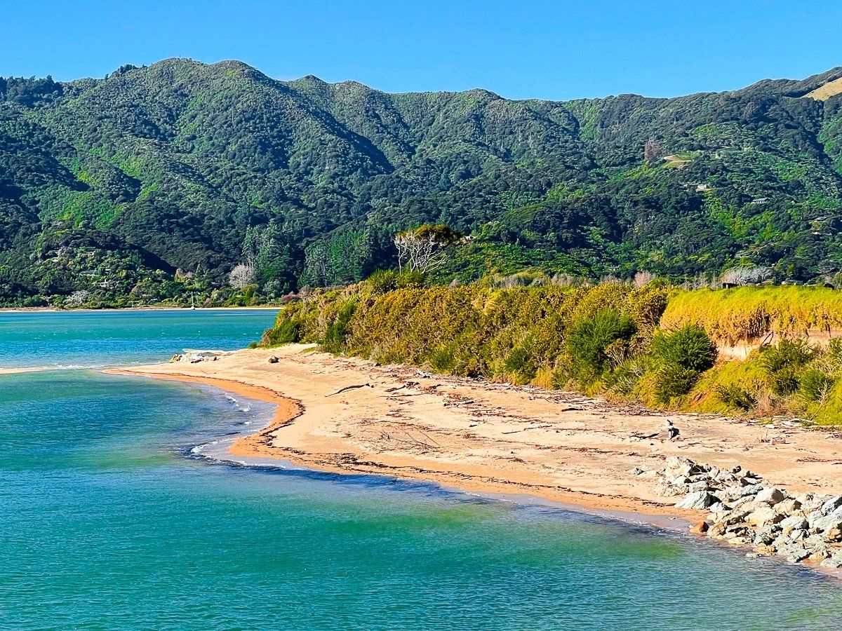 Wainui Bay | Golden Bay - New Zealand Trip Ideas